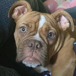 Meet your Posher, Mckenzie